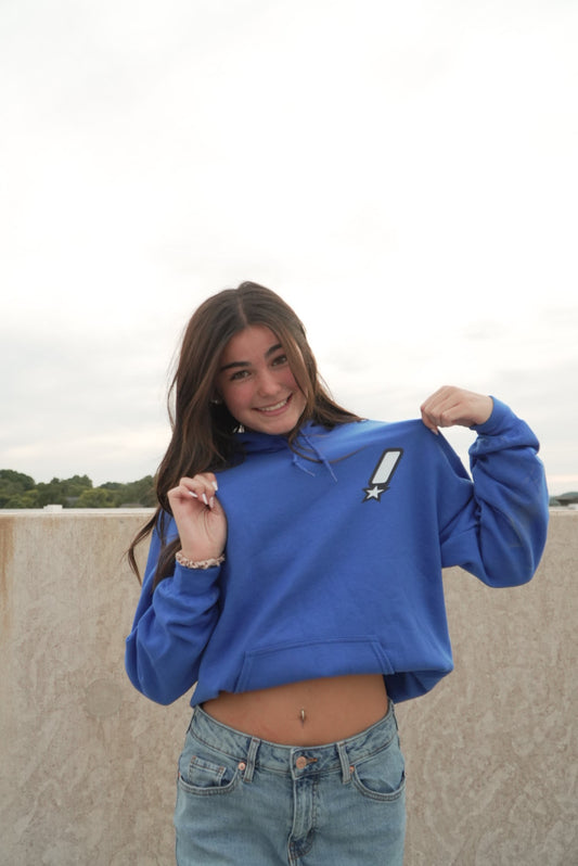 BLUE UNSEEN HOODIE